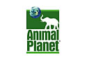 Animal Planet